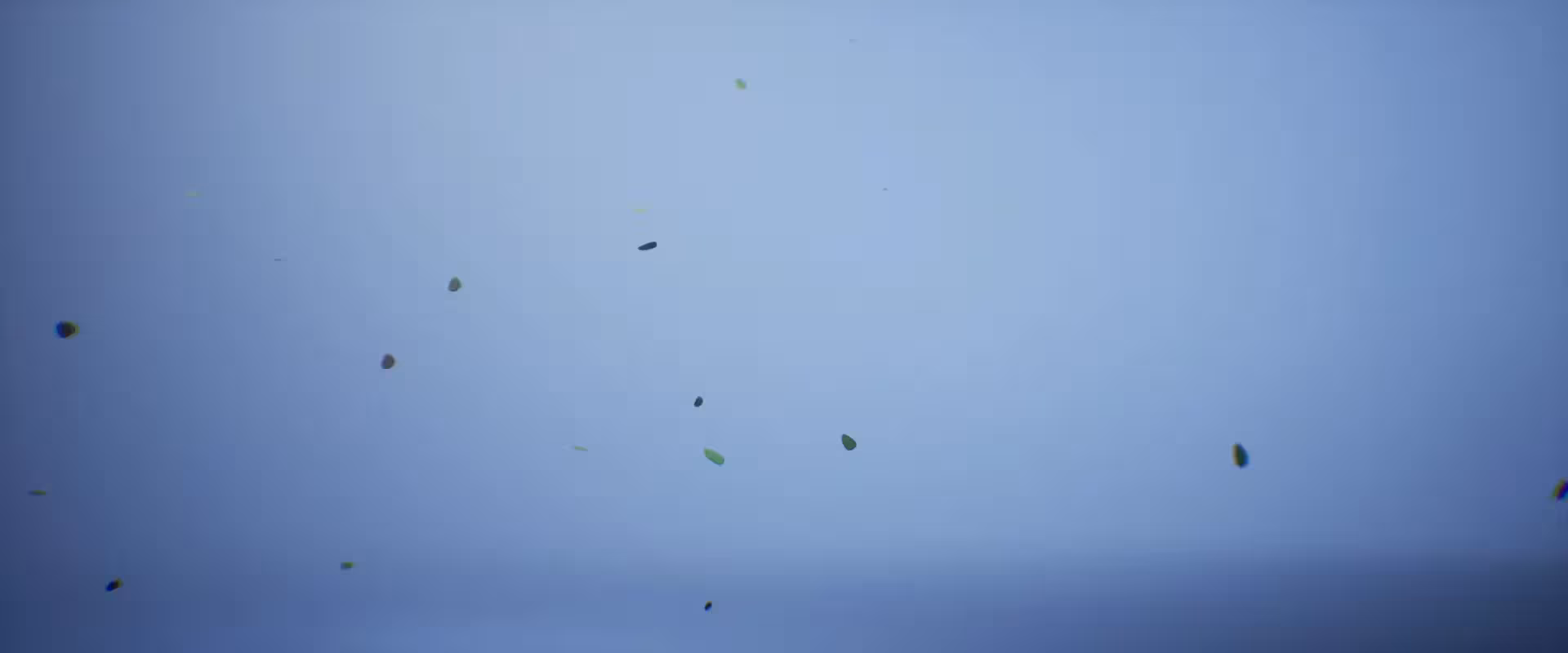 Frame 1700